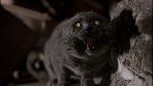 petsematary